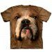 Big Face Pet T-shirt - Bulldog